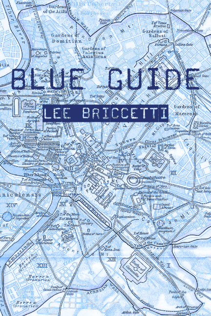 Front Cover of Lee Briccetti's Blue Guide